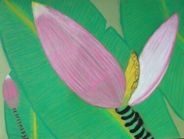 Рисунок под названием "Fleur de Bananier" - Yveline Tyaketou - Roquet, Подлинное произведение искусства, Пастель