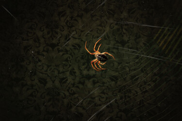 Photography titled "The Spider Chronicl…" by Zbigniew Kubasiak, Original Artwork, Manipulated Photography