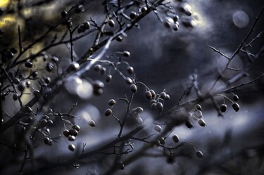 Photography titled "Winter Melancholy" by Zbigniew Kubasiak, Original Artwork, Manipulated Photography