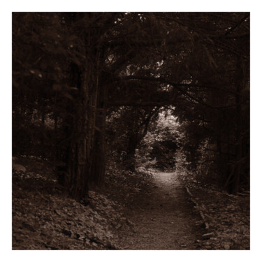 Photography titled "Park Path 1" by Zheka Khalétsky, Original Artwork, Non Manipulated Photography