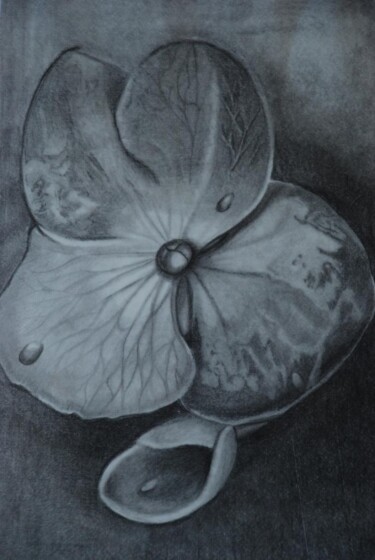 Dibujo titulada "Flower (pencil and…" por Zita Barbara Sanders, Obra de arte original