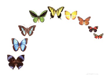 Pintura intitulada "Butterfly Rainbow" por Zoe Norman, Obras de arte originais, Aquarela