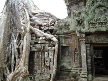 Photography titled "Ta Prohm.jpg" by Zoriana Rypan, Original Artwork