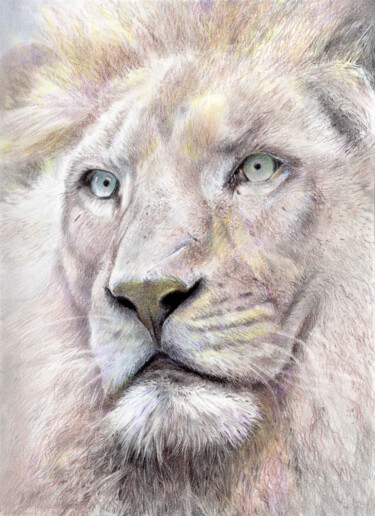 Drawing titled "White Lion" by Zosch, Original Artwork, Conté