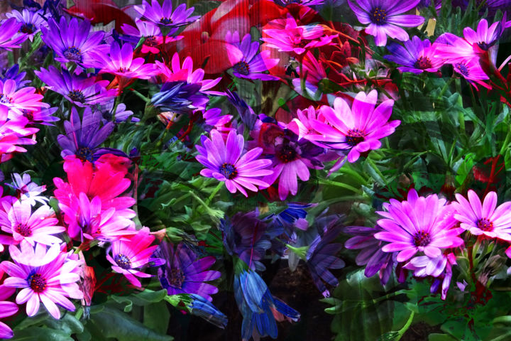 Photography titled "Flowers" by Henk Adriani, Original Artwork, Digital Photography