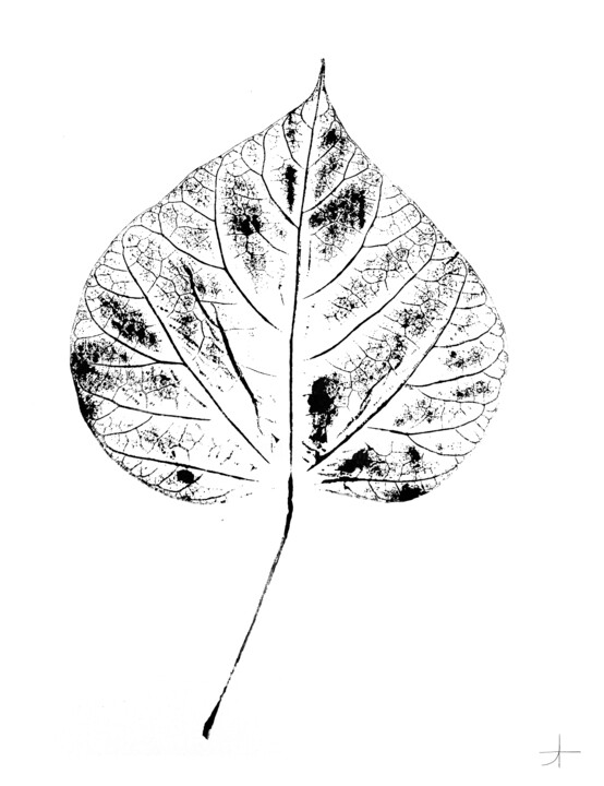 Printmaking titled "Catalpa.I (feuille)" by Adrien Thivolle (l'âge des arbres), Original Artwork, Ink