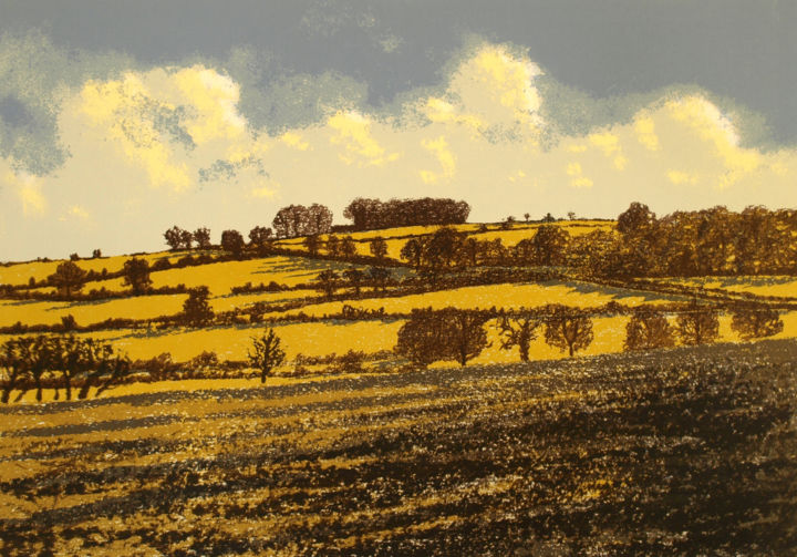 Printmaking titled "Hill of Tara" by Aidan Flanagan, Original Artwork, Screenprinting