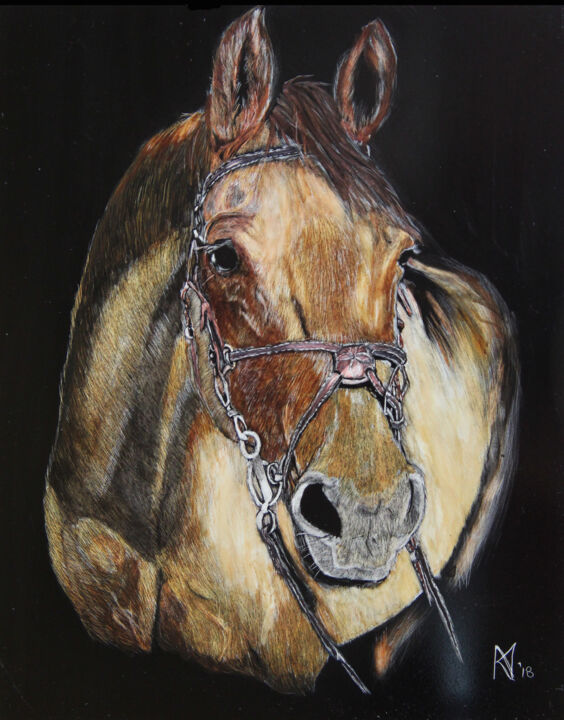 Pintura titulada "Horse of Course" por Karen Nealon, Obra de arte original, Scratchboard