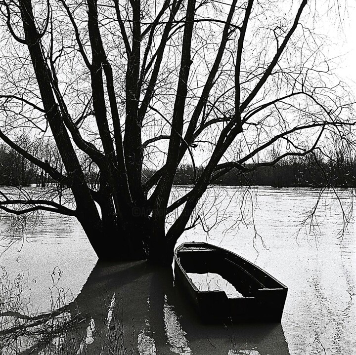 Фотография под названием "La Loire (l'eau)" - Michel Akli, Подлинное произведение искусства, Цифровая фотография