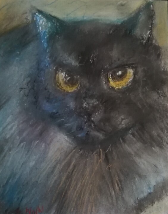 Painting titled "Kot" by Aleksandra W, Original Artwork, Pastel