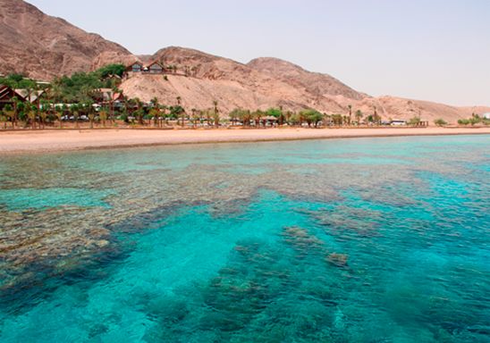 Fotografía titulada "Red Sea Deep Waters" por Alessandra Garcia, Obra de arte original, Fotografía analógica