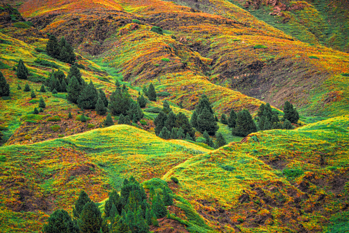 Fotografía titulada "Pirineos multicolor…" por Alex Bold, Obra de arte original, Fotografía digital