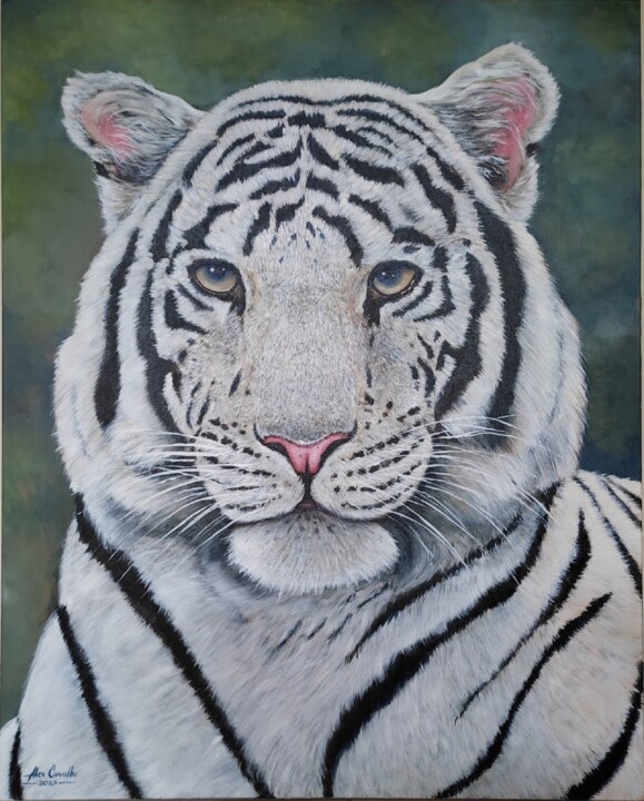 Peinture intitulée "Tigre Branco - Acrí…" par Alex Carvalho, Œuvre d'art originale, Acrylique Monté sur Châssis en bois