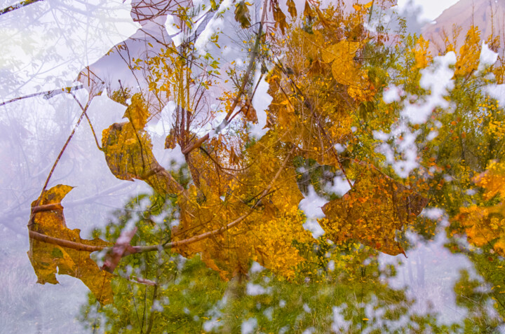 Photography titled "Cold, wet, autumn s…" by Alexander Mats, Original Artwork, Digital Photography