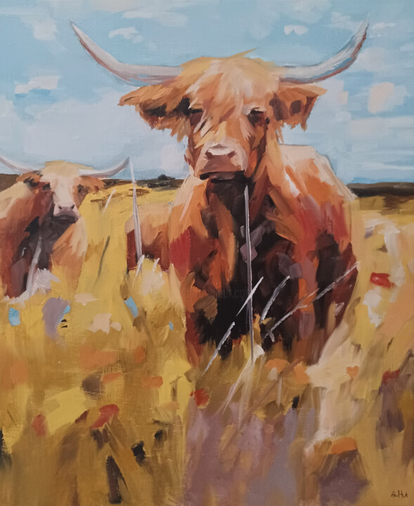 Malarstwo zatytułowany „scottish cow” autorstwa Alexandre Howden, Oryginalna praca, Olej Zamontowany na Drewniana rama noszy