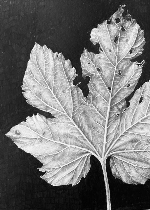 Dibujo titulada "Monochrome leaf 202…" por Alisa Diakova, Obra de arte original, Tinta