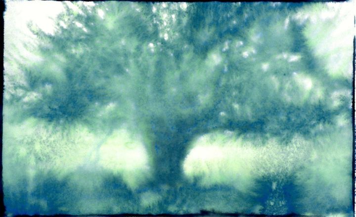 Fotografía titulada "Tree in Storm" por Allmuth Lenz, Obra de arte original, Fotografía analógica