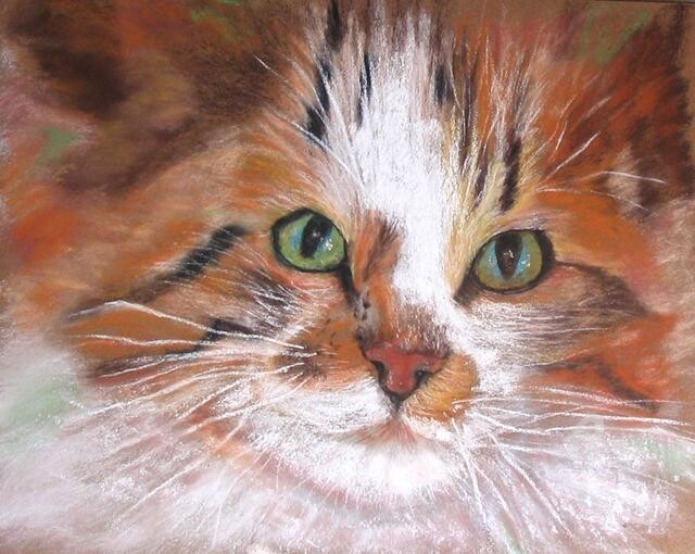 Regard Felin Malerei Von Claudette Allosio Artmajeur