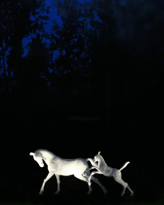 Scultura intitolato "Crépuscule" da Amandine Bocquelet, Opera d'arte originale, Filo