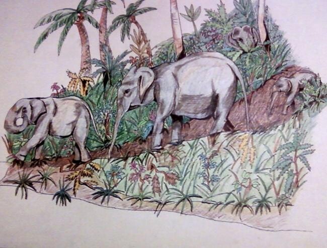 Dibujo titulada "walking elephants" por Amey, Obra de arte original