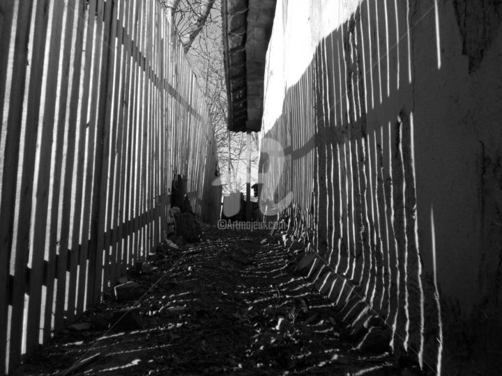 Photography titled "Hidden path" by Ana Mishka, Original Artwork