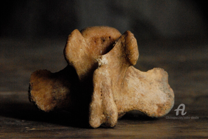 Photographie intitulée "Nature morte à L'os…" par André Boulze, Œuvre d'art originale, Photographie numérique