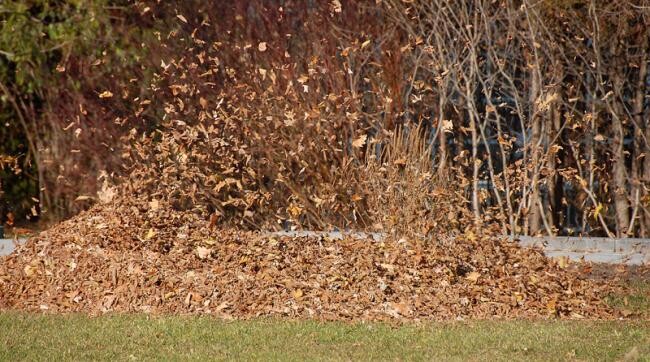 Photographie intitulée "Coup de vent!" par André Pelletier, Œuvre d'art originale