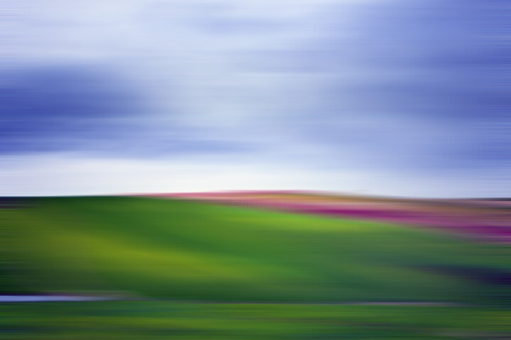 Photography titled "Canola Field Magnet…" by André Pillay, Original Artwork, Digital Photography