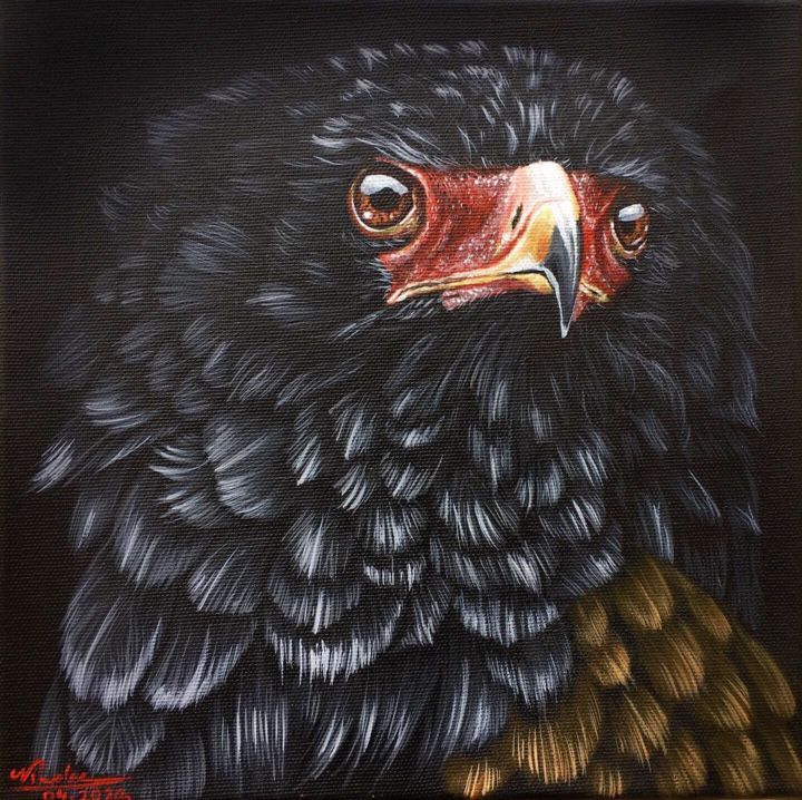 Painting titled "Bateleur eagle" by Andrei Doru, Original Artwork, Acrylic