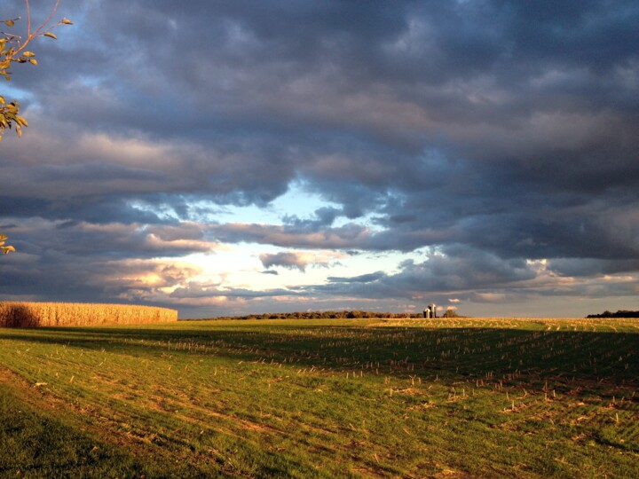 Фотография под названием "Amish Harvest" - Andrew Troyer, Jr, Подлинное произведение искусства, Цифровая фотография