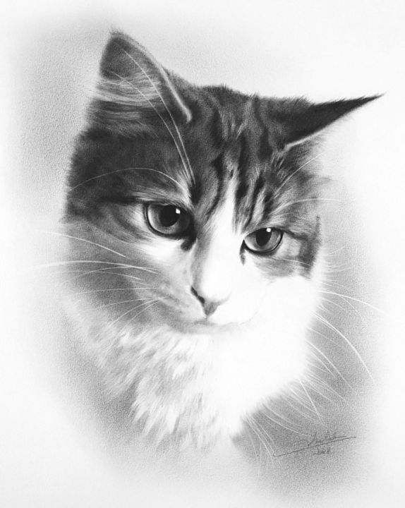 Peinture intitulée "Portrait de chat" par Anna Cholak - Portraits, Œuvre d'art originale, Huile