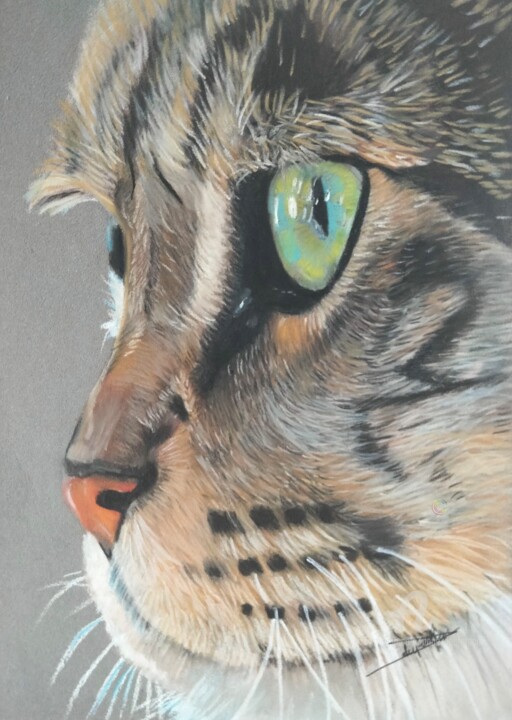 Dibujo titulada "Regard chat I" por Anne Degremont, Obra de arte original, Pastel