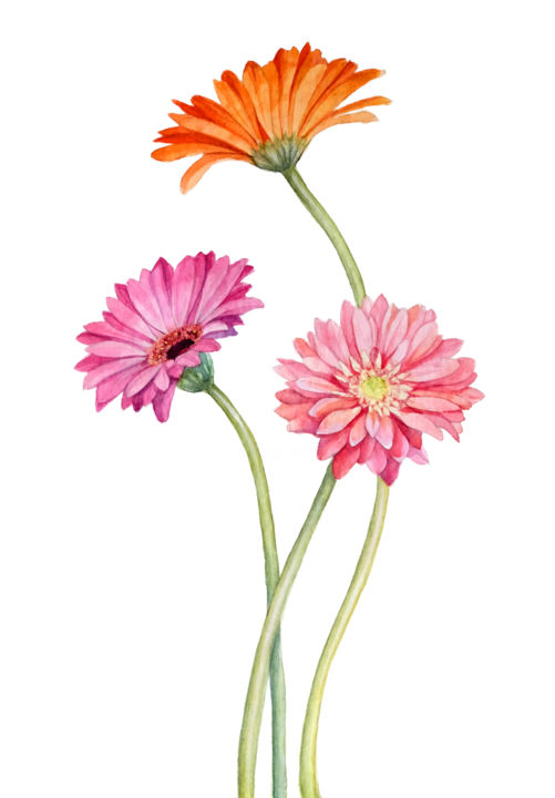 gerbera painting