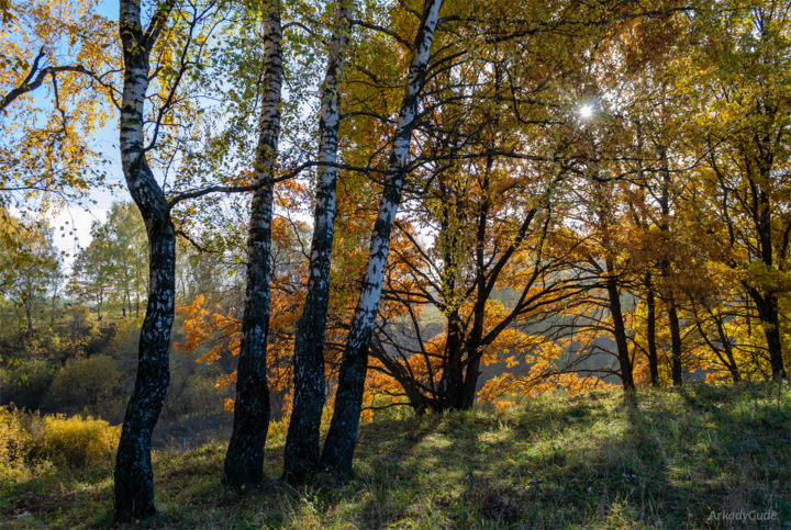 Autumn Forest Landscape Photography By Arkady Gude Artmajeur