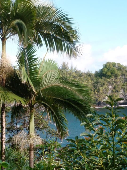 Fotografia intitulada "Hawaii" por Arnaud Thévenin, Obras de arte originais