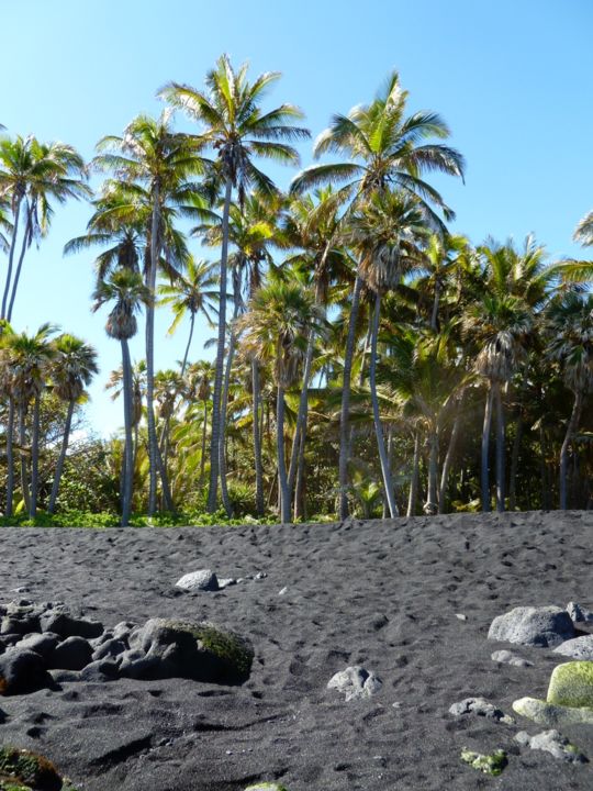 Hawaii Plage Sable Volcanique Arnaud Thévenin