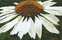 Pintura intitulada "Cone Flower" por Renata Sajko, Obras de arte originais, Óleo