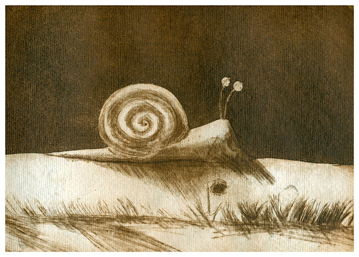 Incisioni, stampe intitolato "Nasschnecke" da Josch H. Pfisterer, Opera d'arte originale, incisione