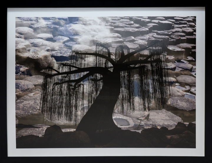 Photography titled "Crying Nature" by Anna Sowinska, Original Artwork, Digital Photography Mounted on Cardboard