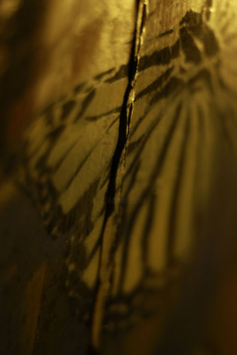 Фотография под названием "Suivez le papillon.…" - Asneva, Подлинное произведение искусства, Не манипулируемая фотография