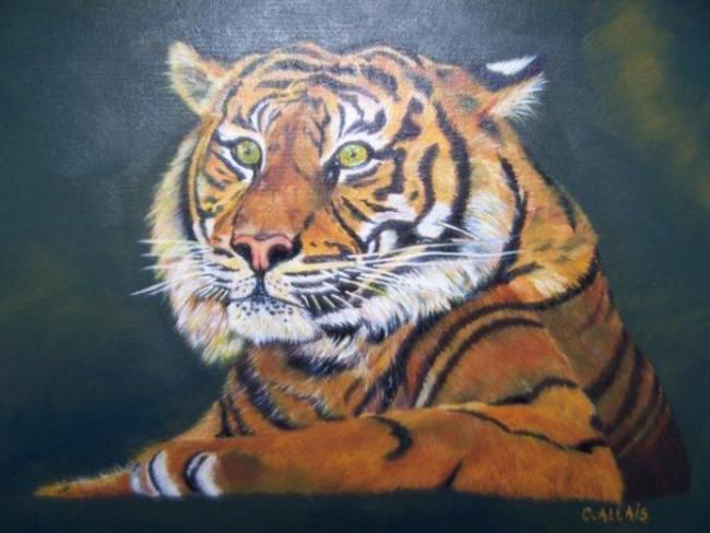 Рисунок под названием "Tigre" - Catherine Allais Jourdain, Подлинное произведение искусства
