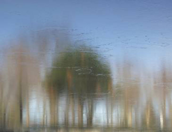 Photography titled "IMPRESSIONISM XXIII…" by Curtis H. Jones, Original Artwork, Digital Photography Mounted on Wood Stretche…