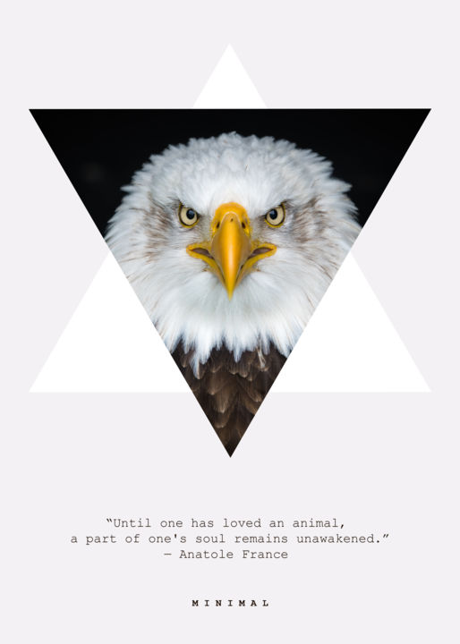 Arte digital titulada "Eagle" por Ayberk Yıldırım, Obra de arte original