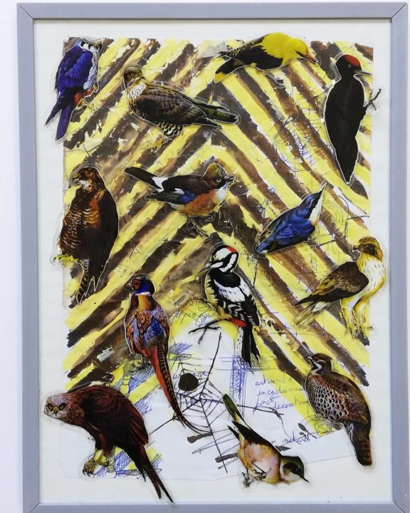 Collages intitulée "Birds" par Baptiste Vanweydeveldt, Œuvre d'art originale, Gouache Monté sur Panneau de bois