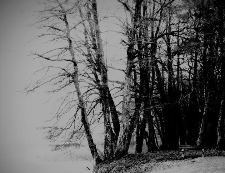 Photography titled "Winter in Borne" by Barbara Przyborowska, Original Artwork, Digital Photography