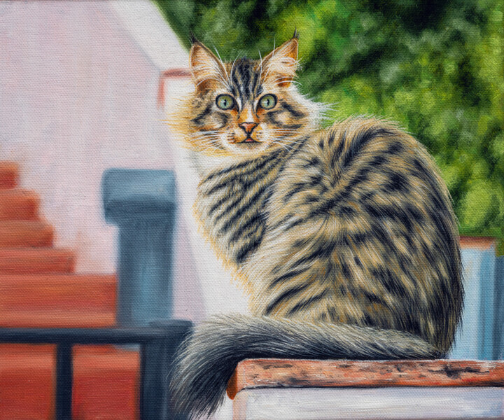 Pintura titulada "A cat from Mijas To…" por Básant, Obra de arte original, Oleo