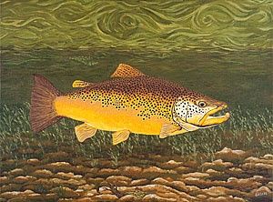 Artes digitais intitulada "Fish Art Trout Art…" por Fine Art Prints Fish Flowers Baslee Troutman, Obras de arte originais