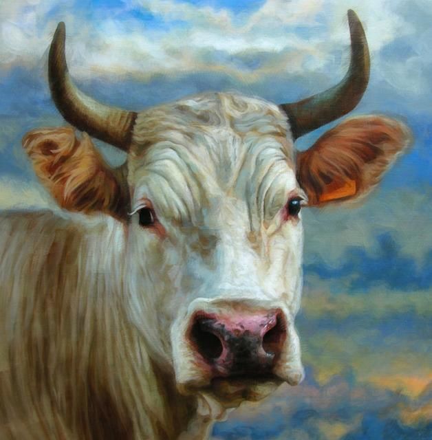 Peinture intitulée "vache" par Bastien Millan, Œuvre d'art originale