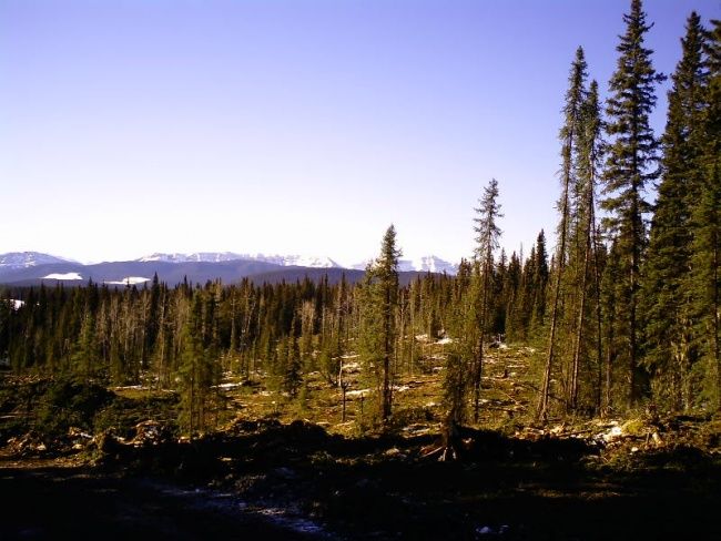 Photography titled "Alberta West Country" by B.Corey, Original Artwork