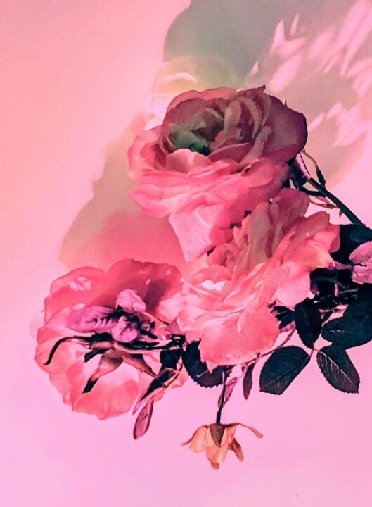 Photographie intitulée "Roses" par Béatrice Marie Penaud, Œuvre d'art originale, Photographie argentique